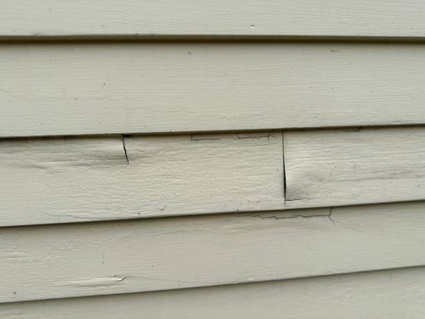 Siding for Commercial Buildings in Lander, WY